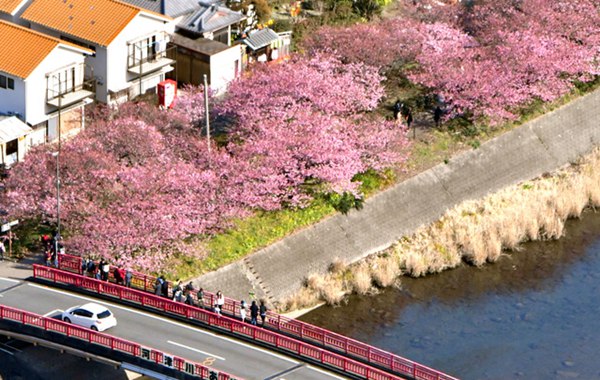 ձoӽӭ^pڣDƬԴWվ