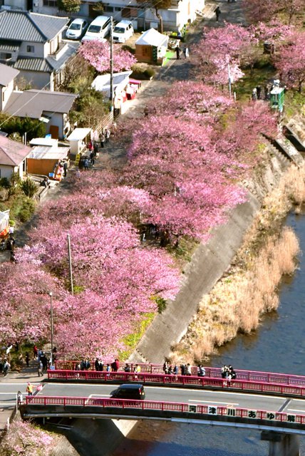 ձoӽӭ^pڣDƬԴWվ