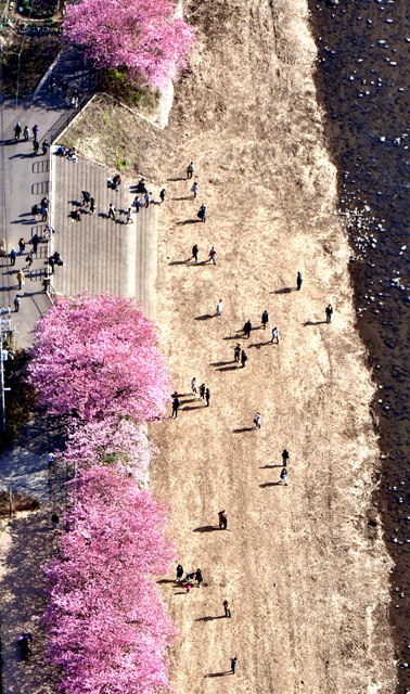 ձoӽӭ^pڣDƬԴWվ