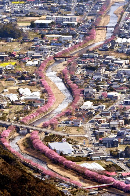 ձoӽӭ^pڣDƬԴWվ