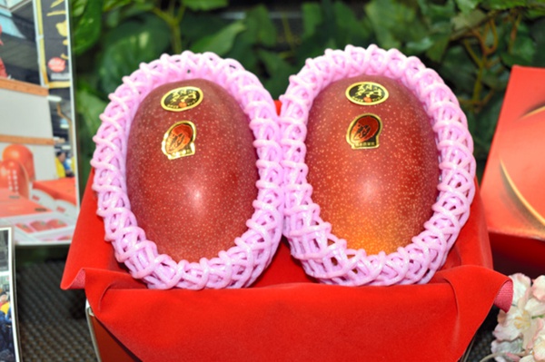 rձmhâ̫֮ӡ2u50fԪDƬԴWվ