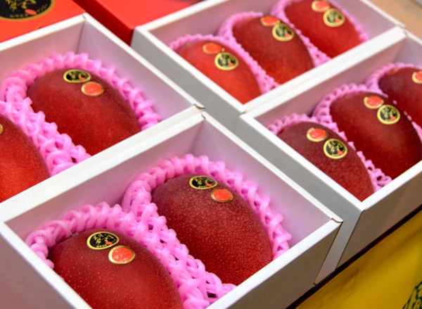 rձmhâ̫֮ӡ2u50fԪDƬԴWվ