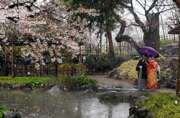 |ձ؅^ӭ󽵜 سFѩ⣨DƬԴWվ