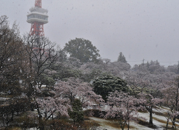 |ձ؅^ӭ󽵜 سFѩ⣨DƬԴWվ