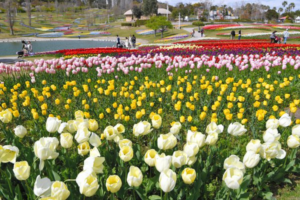 ձhʯ{@ӭ^pڣDƬԴWվ