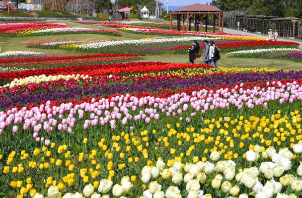 ձhʯ{@ӭ^pڣDƬԴWվ