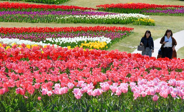 ձhʯ{@ӭ^pڣDƬԴWվ