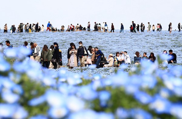 ձĳ450fϲֲ_ {ɫ^DƬԴWվ