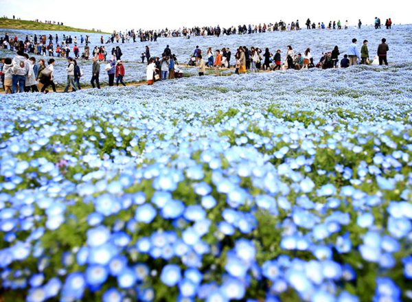 ձĳ450fϲֲ_ {ɫ^DƬԴWվ