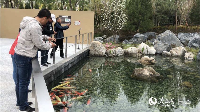 ձͥ@ο͂v^\zӰʷԬɣ