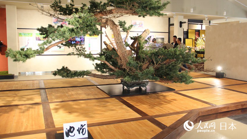 չʾ^̎ľ޴ɘձϵĻɳطzӰʷԬɣ