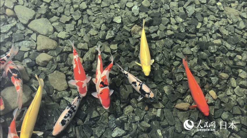 ͥ@ˮ؃߮\ձhzӰʷԬɣ