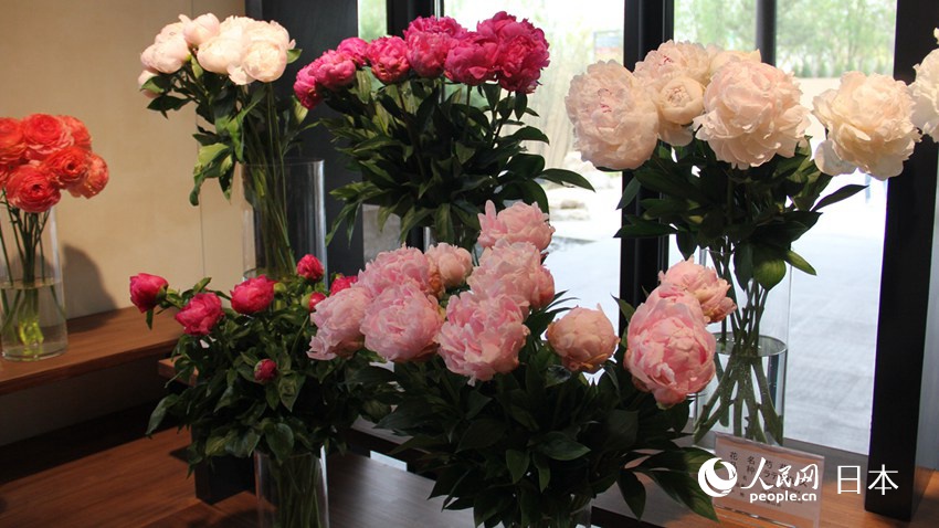 ձ͸ɽhĸɫˎzӰʷԬɣ