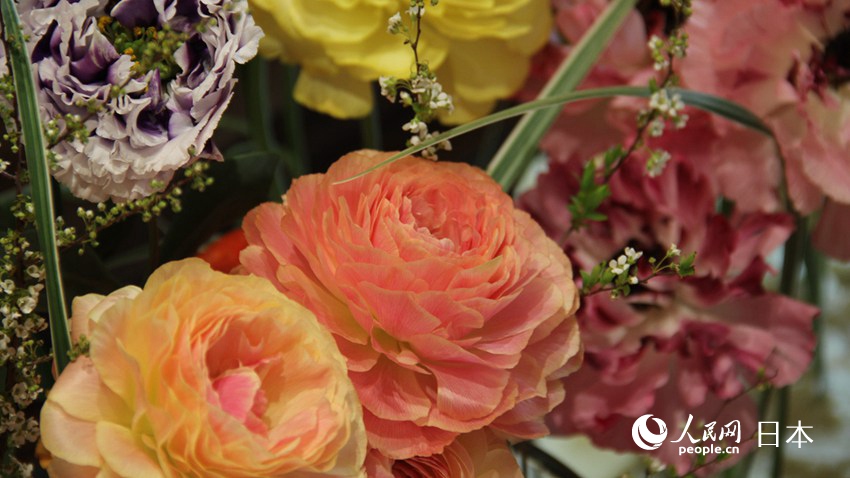 չʾ^ɫSĻģzӰʷԬɣ