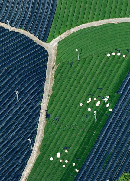 βӭի@ γɪءRِˡ^DƬԴWվ