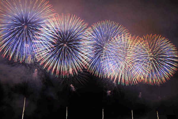 2019ձLe ^˔ʷࣨDƬԴWվ