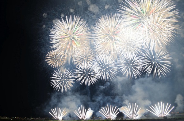 2019ձLe ^˔ʷࣨDƬԴWվ