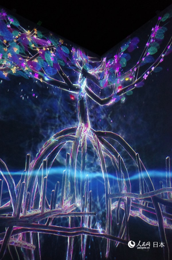 teamLabӰˇgչѭh֮硱zӰ Ԭɣ