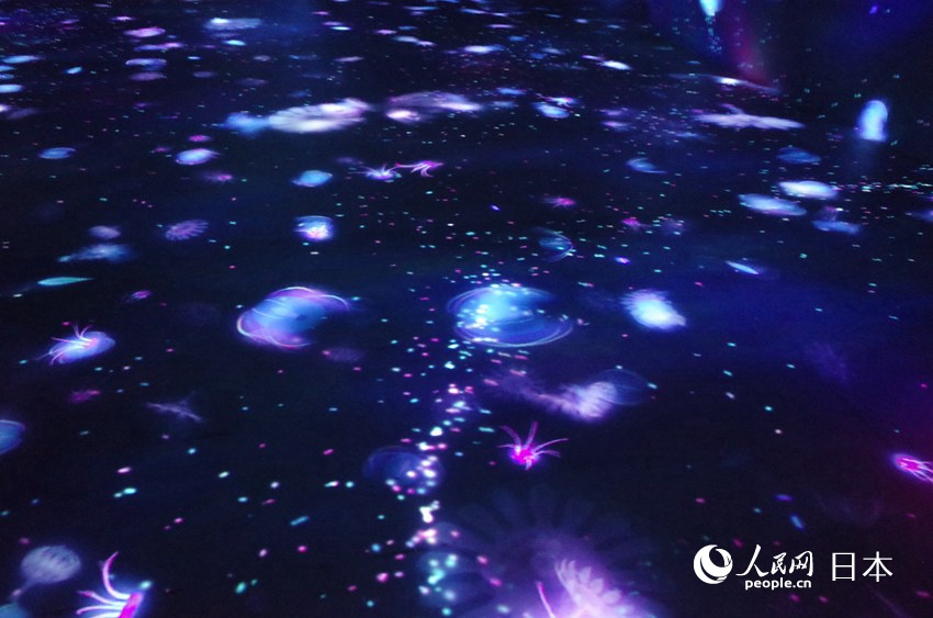 teamLabӰˇgչѭh֮硱zӰ Ԭɣ