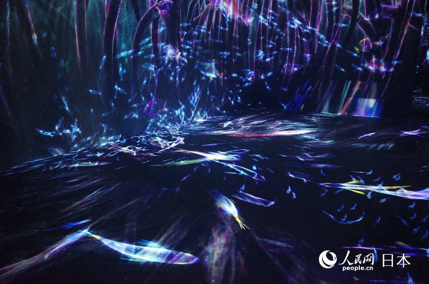 teamLabӰˇgչѭh֮硱zӰ Ԭɣ