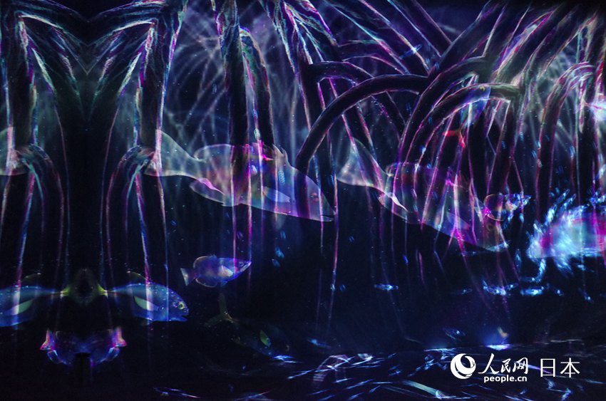 teamLabӰˇgչѭh֮硱zӰ Ԭɣ