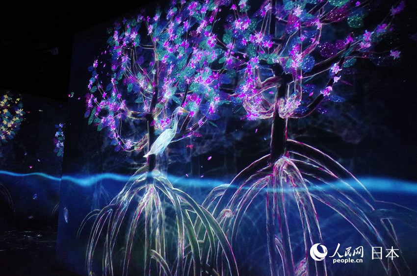 teamLabӰˇgչѭh֮硱zӰ Ԭɣ