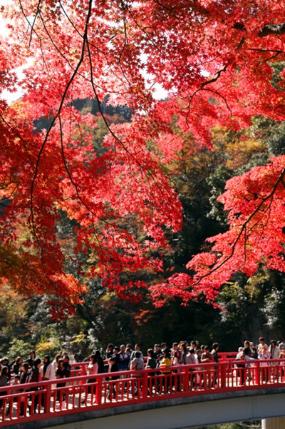 ձӿӭt~^pڣDƬԴWվ