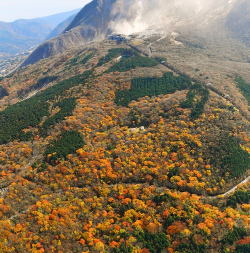 ձӿӭt~^pڣDƬԴWվ