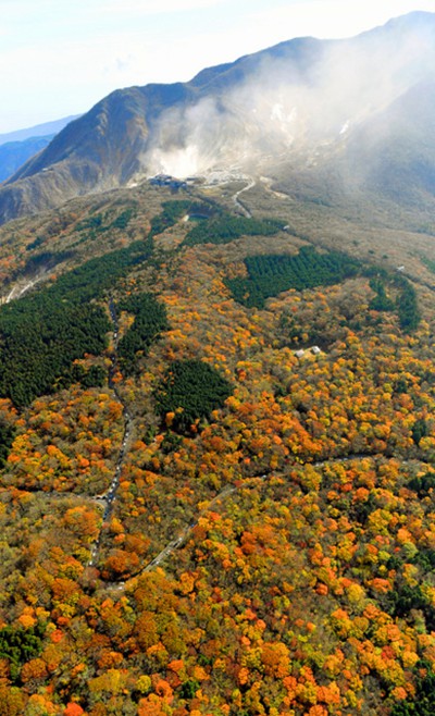 ձӿӭt~^pڣDƬԴWվ