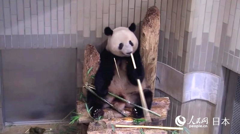 612Ұ@ͨ^WjҕlcףҰ@ٷWվҕl؈D