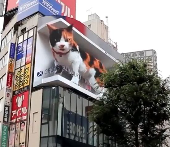 圖片來源:視頻截圖