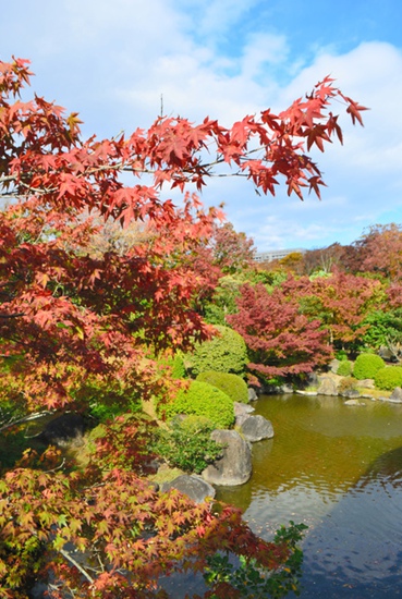 fo@t~_Ļ t~cʽͥԺxӳ2