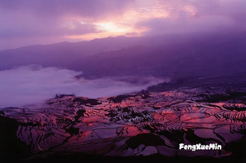 @zӰTWĔzġϡϵƷ֮һDƬkṩ