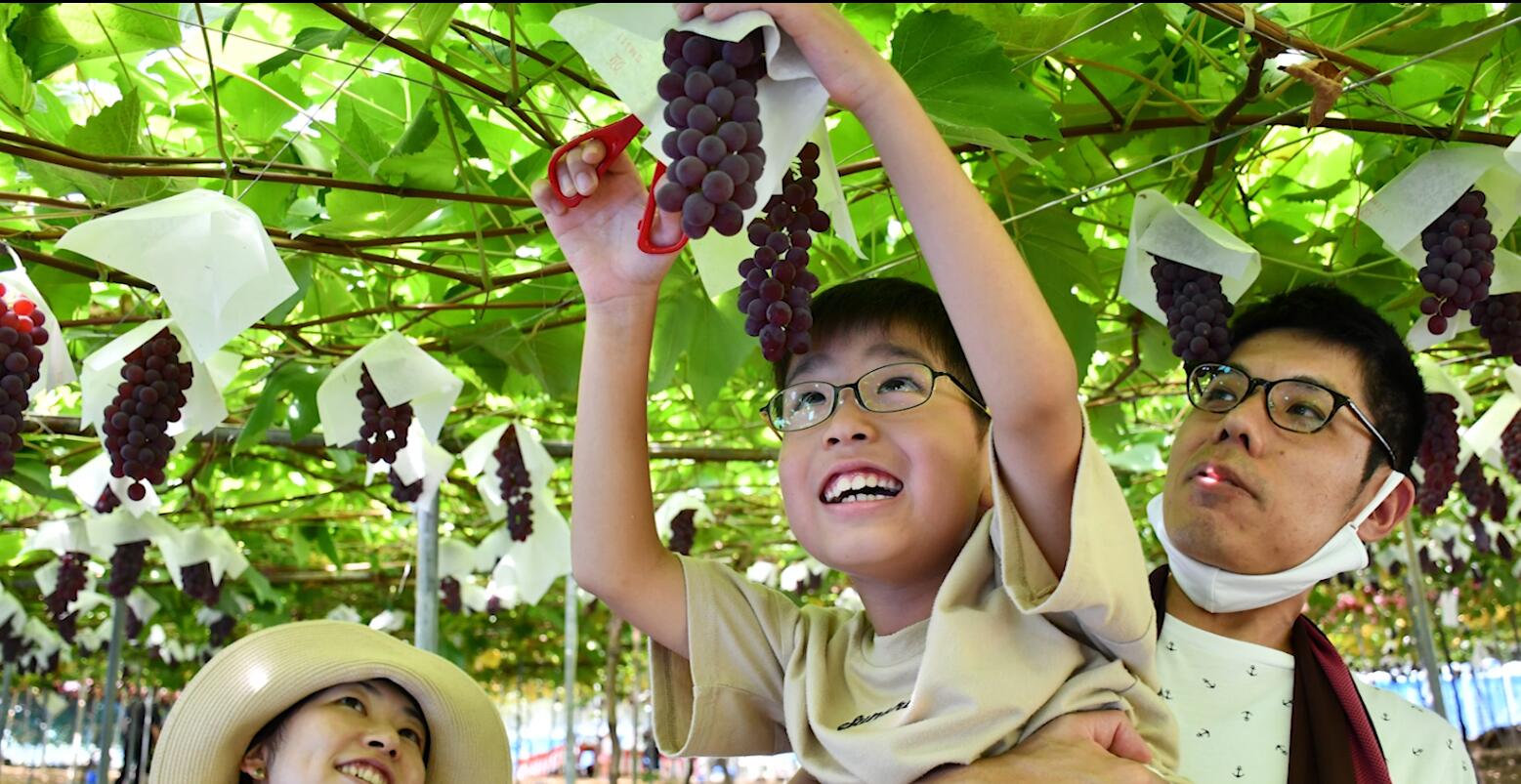 日本大阪府柏原市