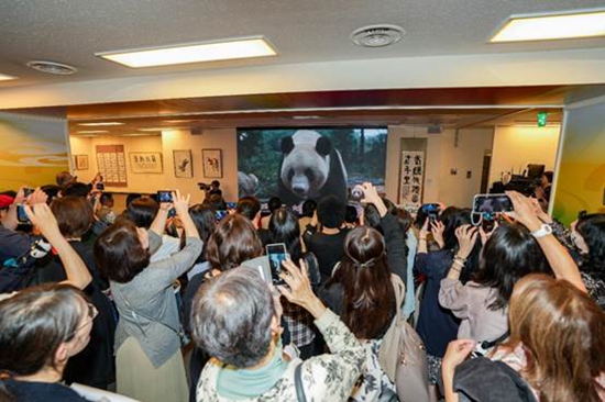 ӬFƬDƬЇv|k̎ṩ