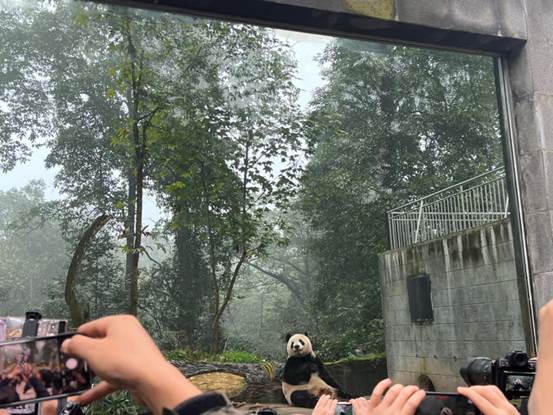 ̽HFFT挦㡱óCDƬЇv|k̎ṩ