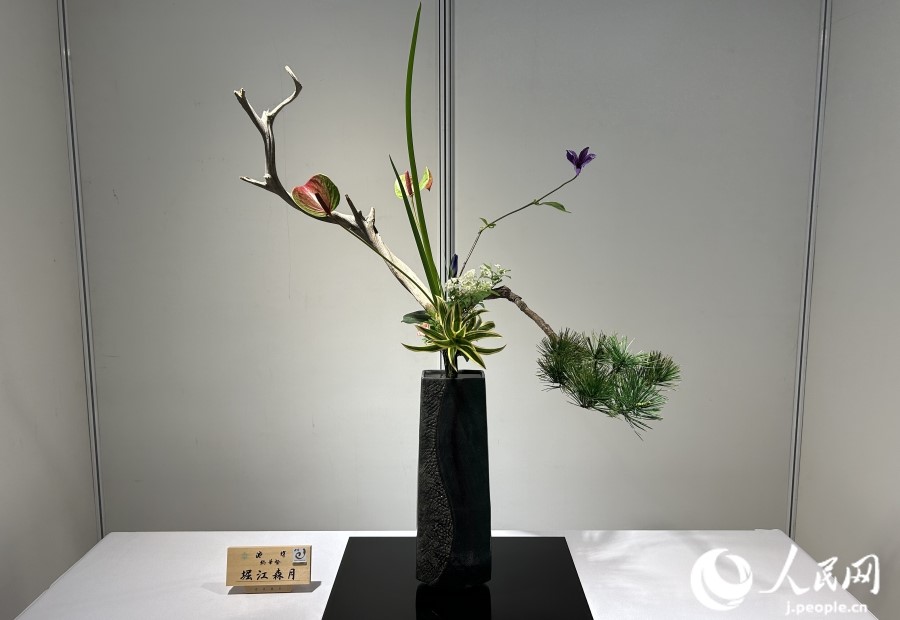 طAWؓ؟ܥɭĲ廨ƷW ʷz