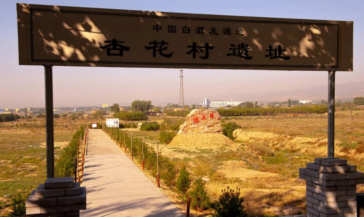 杏花村遺址。馮學敏供圖