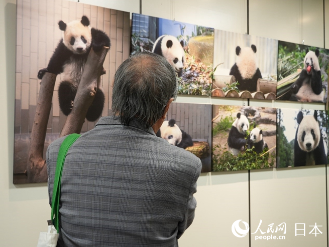 到場嘉賓觀看展覽。人民網 許可攝