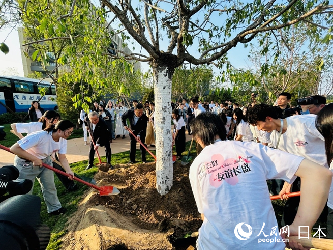 主辦方代表與兩國青年共同種下友好之樹。人民網 許可攝