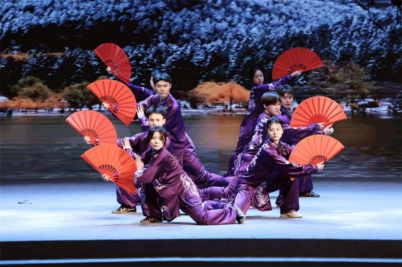 武術表演(主辦方供圖)