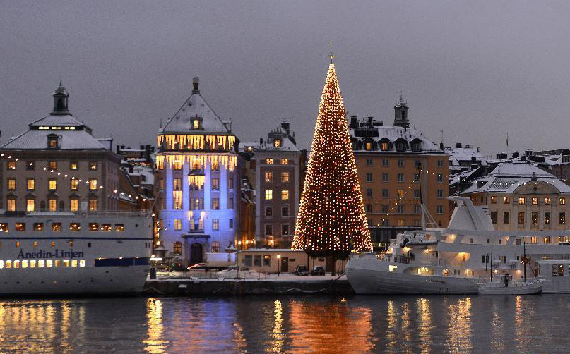 12月12日，一棵高達40米、裝飾有5000多件彩燈、彩球等圣誕飾品的圣誕樹立在瑞典首都斯德哥爾摩的老城岸邊。