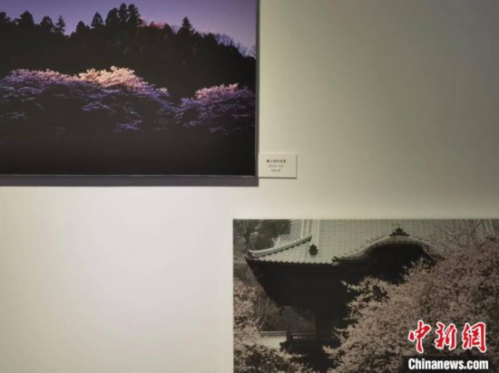 60DƬձhѺÅfxṩ z