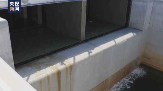 日本專家:核污染水排海犧牲民眾利益